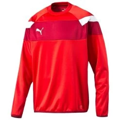 Puma Spirit II Training Sweat Kids - Rot