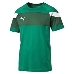 Puma Spirit II Leisure Jersey - Grün
