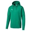 Puma Liga Casuals Hoody - Grün