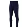 Puma LIGA Training Pants Pro - Dunkelblau