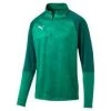 Puma CUP Training 1/4 Zip Top Core - Grün