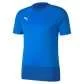 Puma TeamGoal 23 Training Jersey - Blau
