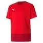 Puma TeamGoal 23 Training Jersey Kids - Rot