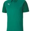 Puma TeamGOAL 23 Sideline Polo Pepper Green