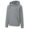 Puma TeamGoal 23 Casual Hoody KIDS - Grau