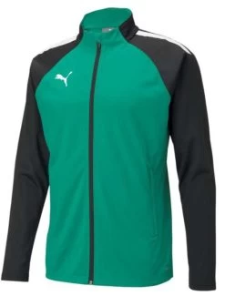 Puma TeamLIGA Training Jacket Grün/schwarz