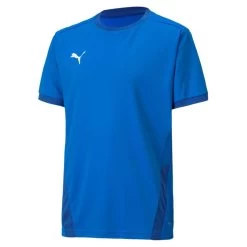Puma TeamGOAL 23 Jersey KIDS - Blau
