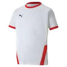 Puma TeamGOAL 23 Jersey KIDS - Weiß/rot