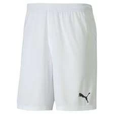 Puma TeamGOAL 23 Knit Shorts KIDS - Weiß