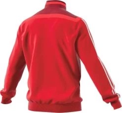 Adidas Tiro 19 Presentations Jacket - Rot -Berühmt Sportbekleidung Geschäft D95933 BackView 1280x1280