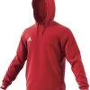 Adidas Team 19 Hoody Men - Rot