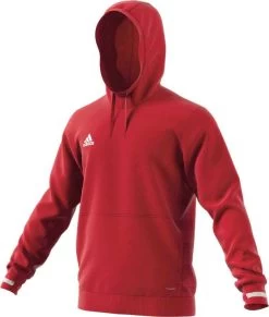 Adidas Team 19 Hoody Men - Rot