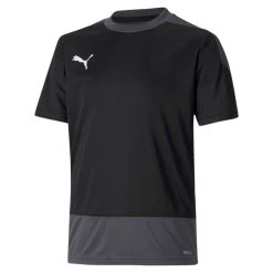 Puma TeamGoal 23 Training Jersey Kids - Schwarz